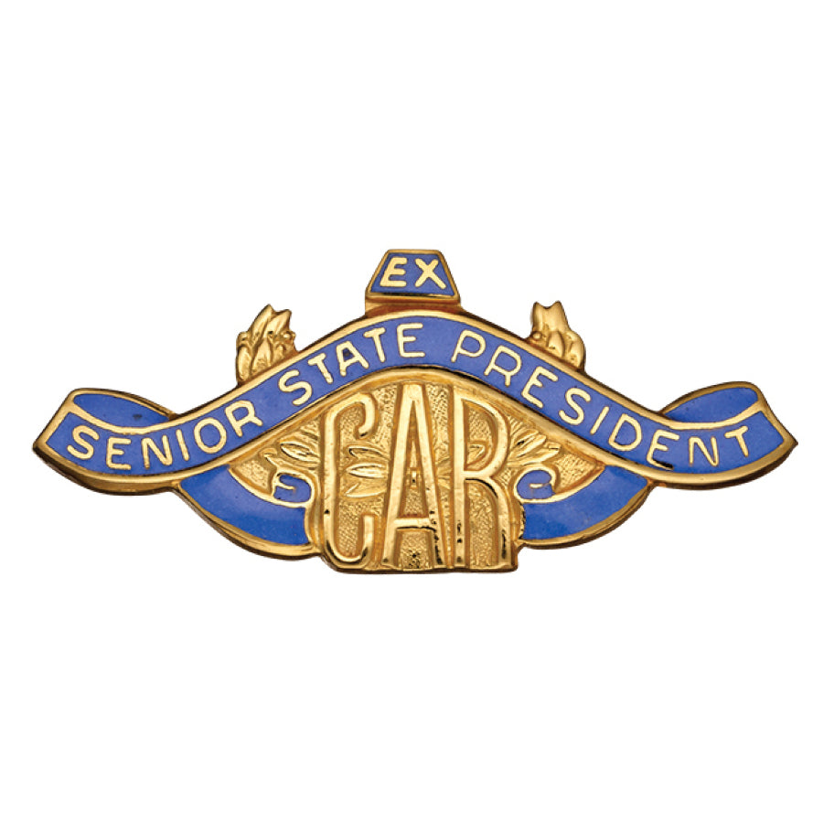 C.A.R. Ex-Senior State President Pin