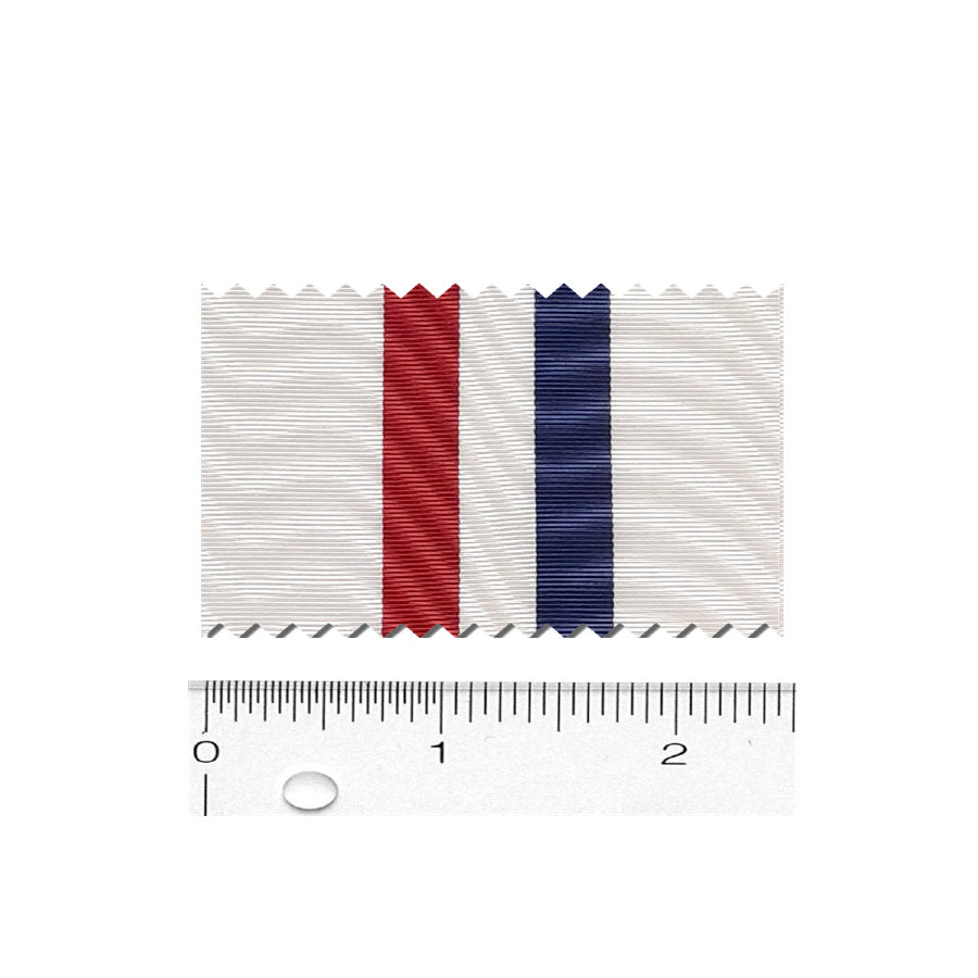 DCW Past National Officer Sash