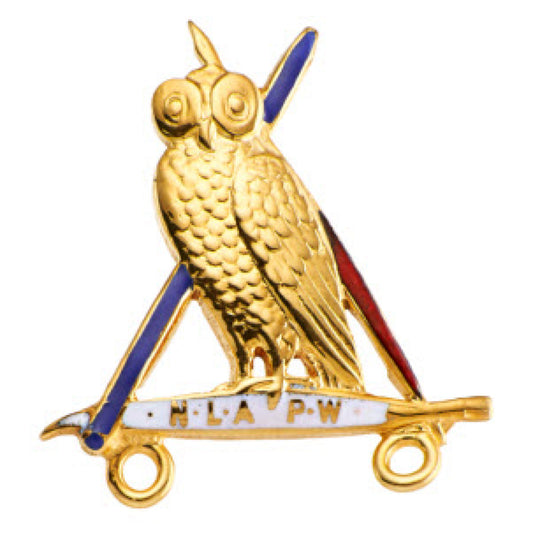 NLAPW Medium Insignia