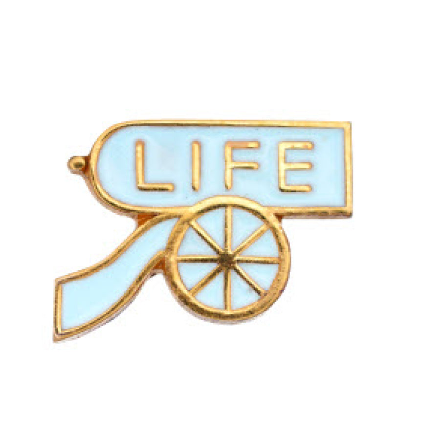 WDAHA Life Member