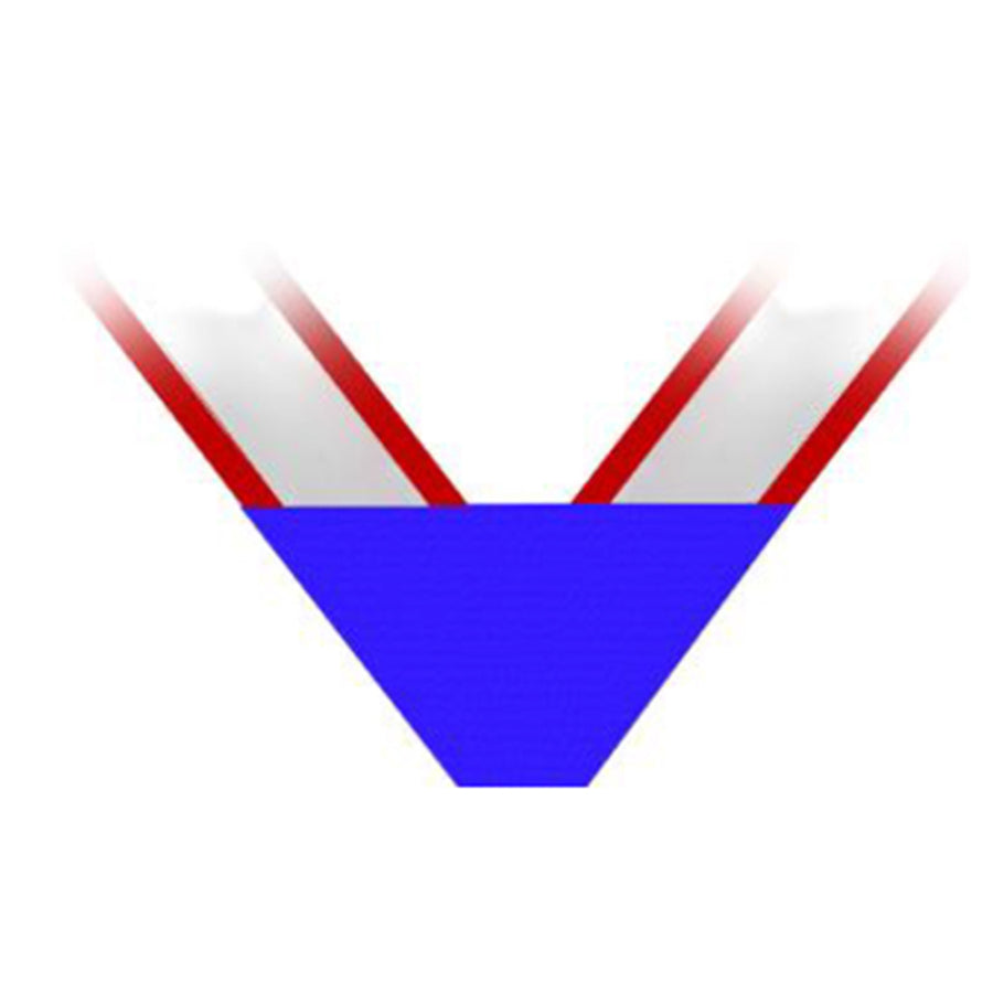 Children of 1812 Honorary National Officer Neck Ribbon – Hamilton Insignia