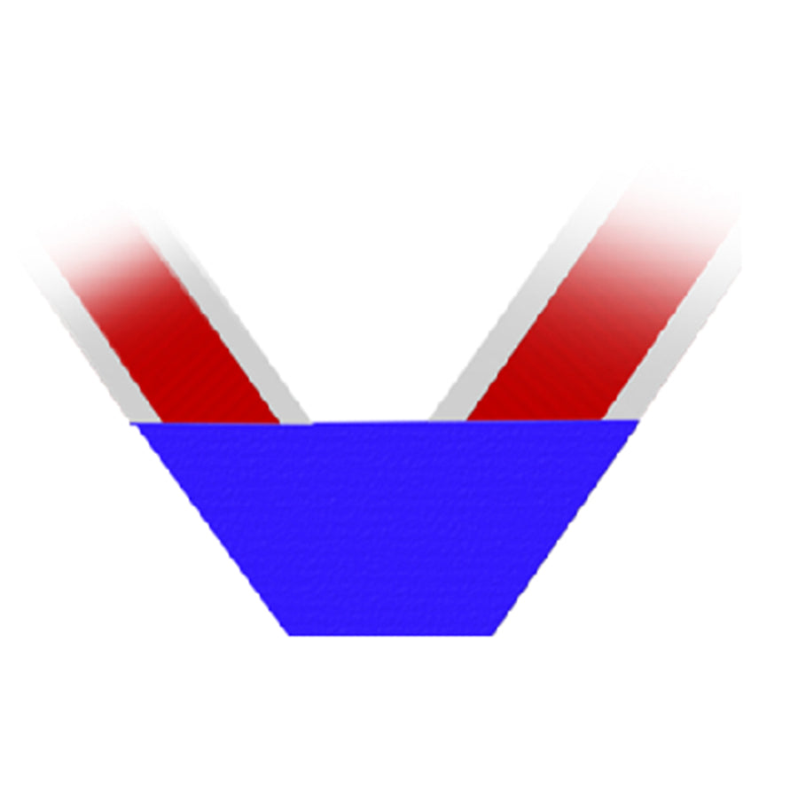 Children of 1812 Honorary President General Neck Ribbon – Hamilton Insignia