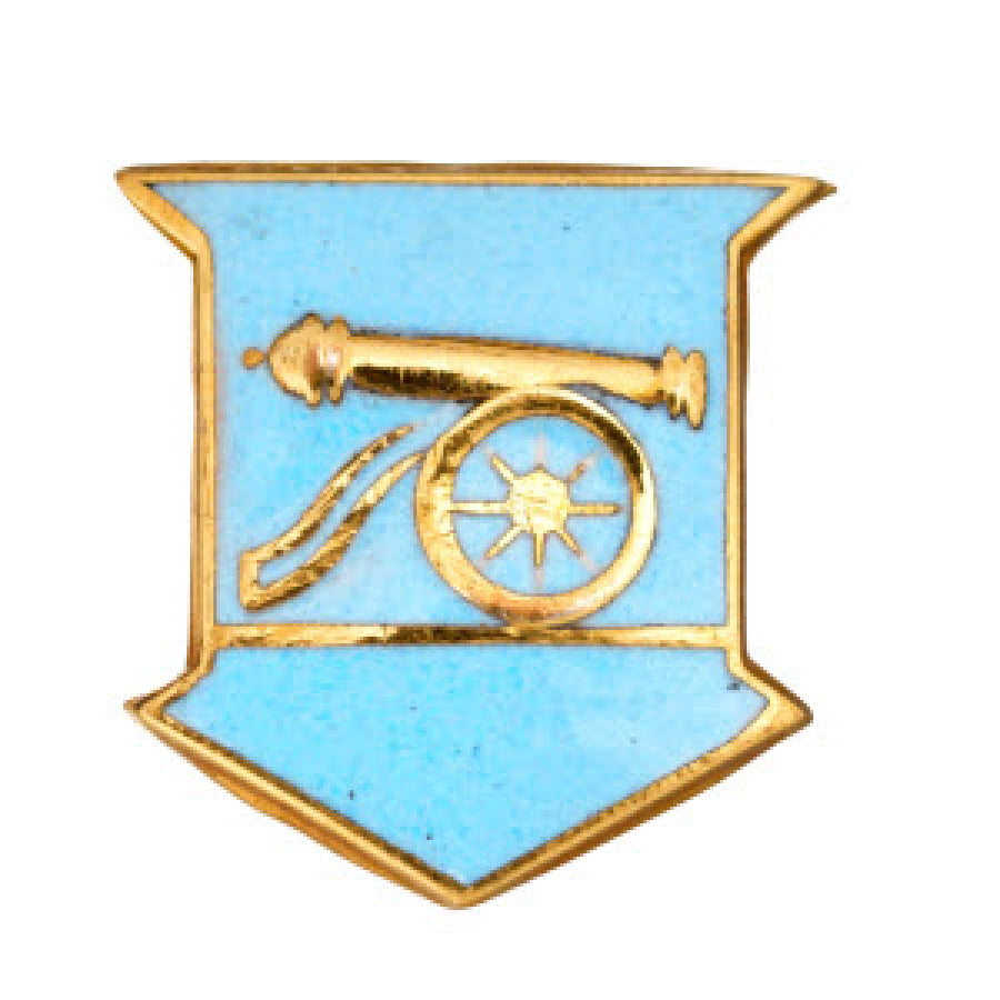WDAHA Recognition Pin